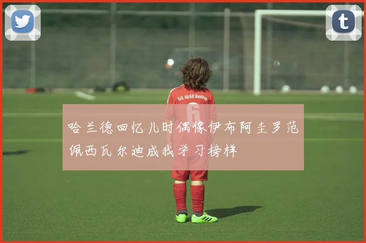 哈兰德回忆儿时偶像伊布阿圭罗范佩西瓦尔迪成我学习榜样