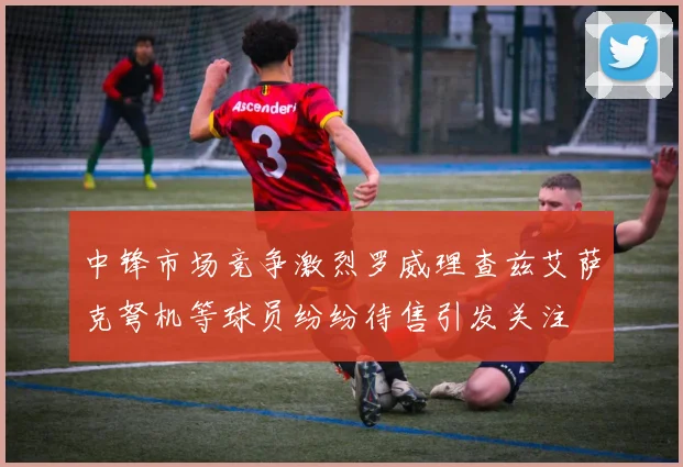 中锋市场竞争激烈罗威理查兹艾萨克弩机等球员纷纷待售引发关注